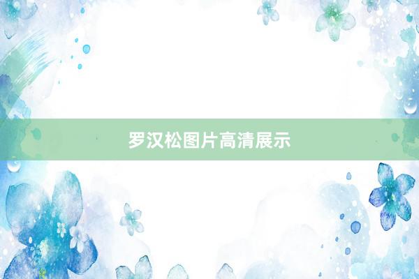 罗汉松图片高清展示